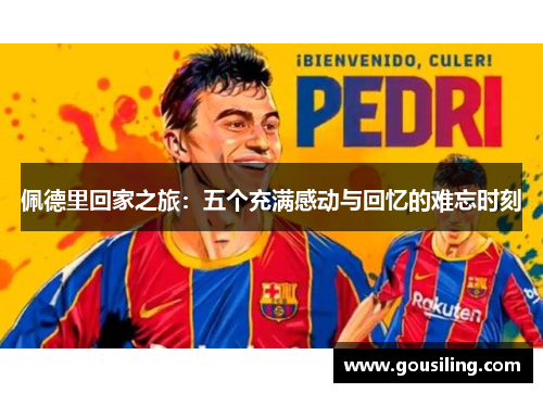 佩德里回家之旅：五个充满感动与回忆的难忘时刻